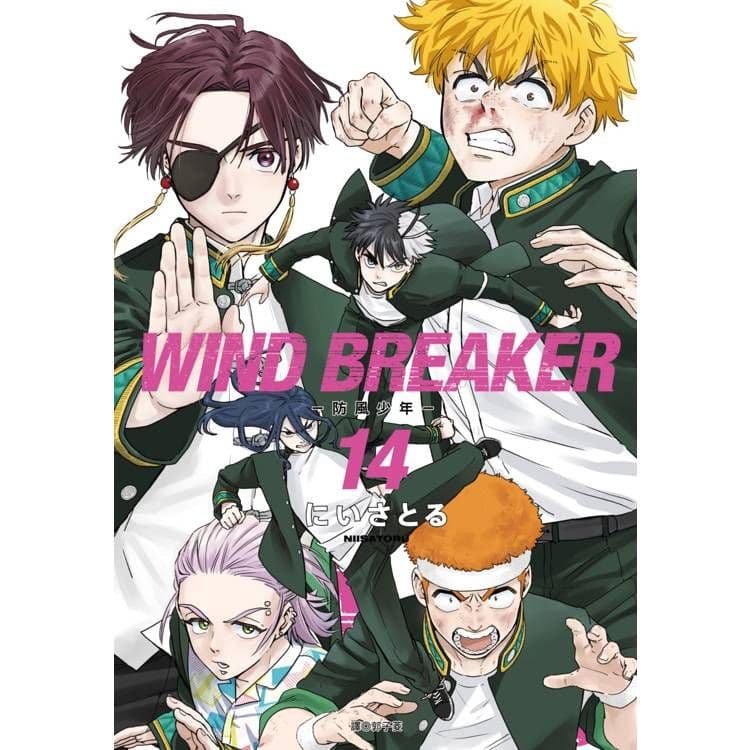 WIND BREAKER-防風少年- (14)｜にいさとる｜尖端