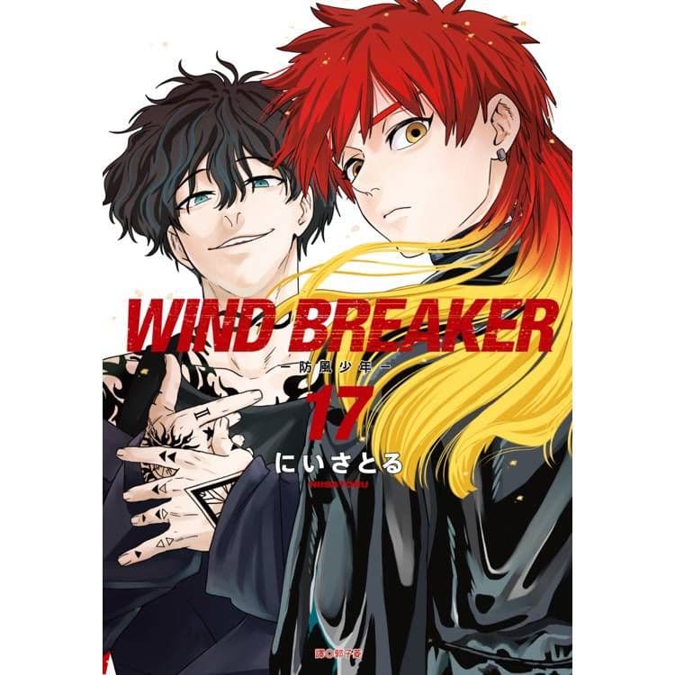 WIND BREAKER-防風少年- (17)｜にいさとる｜尖端