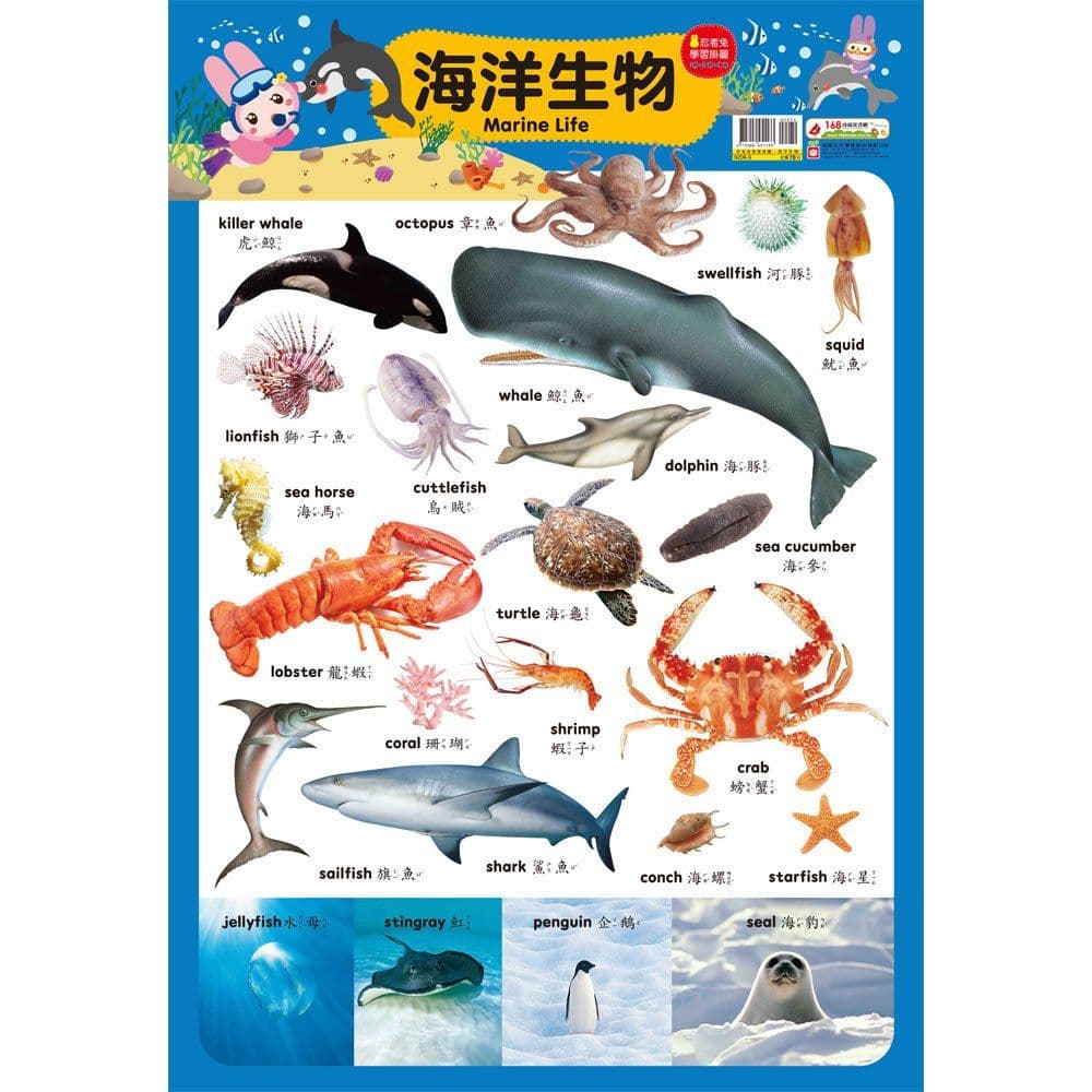 忍者兔學習掛圖【海洋生物】|9206-9|幼福文化